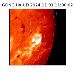 gong - 2024-11-01T11:00:02