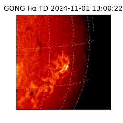 gong - 2024-11-01T13:00:22