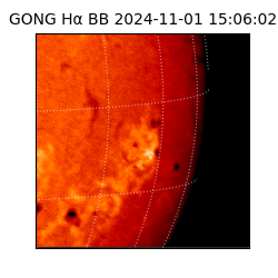 gong - 2024-11-01T15:06:02