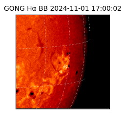 gong - 2024-11-01T17:00:02