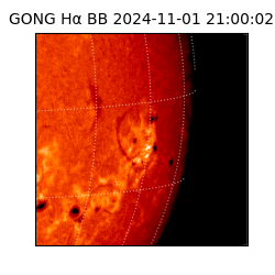 gong - 2024-11-01T21:00:02