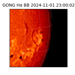 gong - 2024-11-01T23:00:02