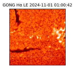 gong - 2024-11-01T01:00:42