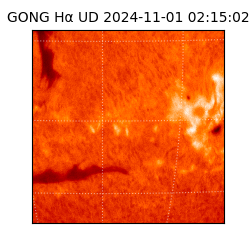 gong - 2024-11-01T02:15:02