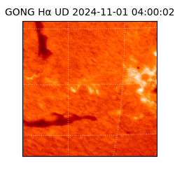 gong - 2024-11-01T04:00:02