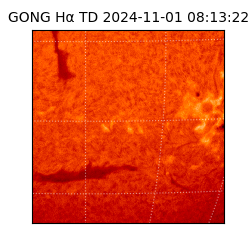 gong - 2024-11-01T08:13:22