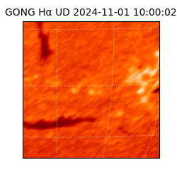 gong - 2024-11-01T10:00:02