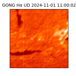 gong - 2024-11-01T11:00:02