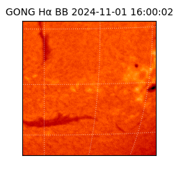 gong - 2024-11-01T16:00:02