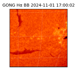 gong - 2024-11-01T17:00:02