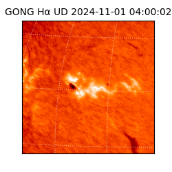 gong - 2024-11-01T04:00:02