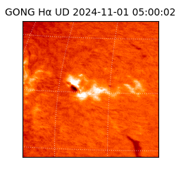 gong - 2024-11-01T05:00:02