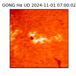 gong - 2024-11-01T07:00:02