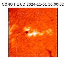 gong - 2024-11-01T10:00:02