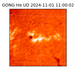 gong - 2024-11-01T11:00:02