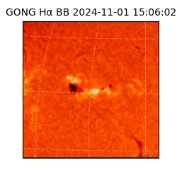 gong - 2024-11-01T15:06:02