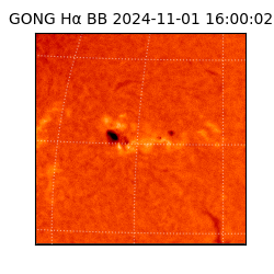 gong - 2024-11-01T16:00:02