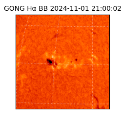 gong - 2024-11-01T21:00:02