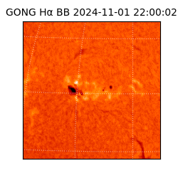 gong - 2024-11-01T22:00:02