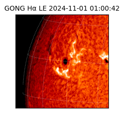 gong - 2024-11-01T01:00:42