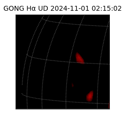 gong - 2024-11-01T02:15:02