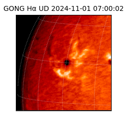 gong - 2024-11-01T07:00:02