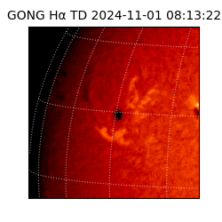 gong - 2024-11-01T08:13:22