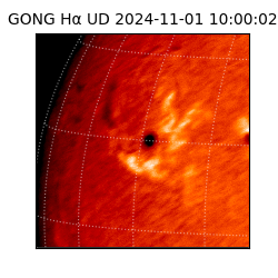 gong - 2024-11-01T10:00:02