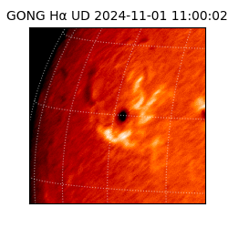 gong - 2024-11-01T11:00:02