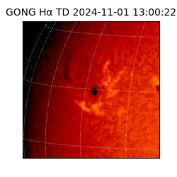 gong - 2024-11-01T13:00:22