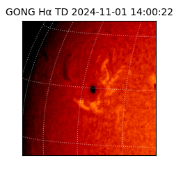 gong - 2024-11-01T14:00:22