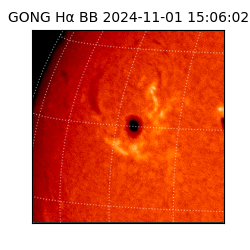 gong - 2024-11-01T15:06:02