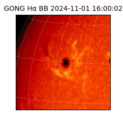 gong - 2024-11-01T16:00:02