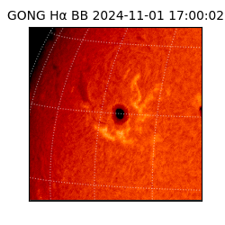 gong - 2024-11-01T17:00:02