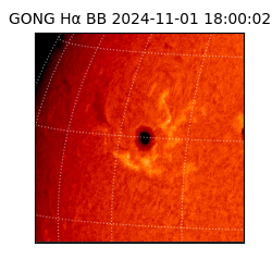 gong - 2024-11-01T18:00:02