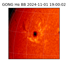 gong - 2024-11-01T19:00:02