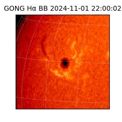 gong - 2024-11-01T22:00:02