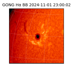 gong - 2024-11-01T23:00:02