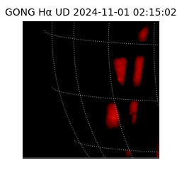 gong - 2024-11-01T02:15:02