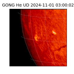 gong - 2024-11-01T03:00:02