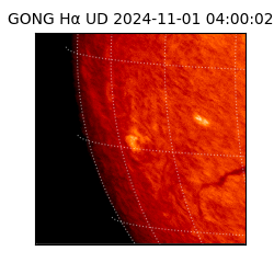 gong - 2024-11-01T04:00:02