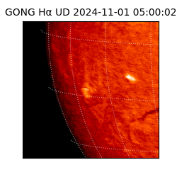 gong - 2024-11-01T05:00:02