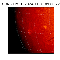gong - 2024-11-01T09:00:22