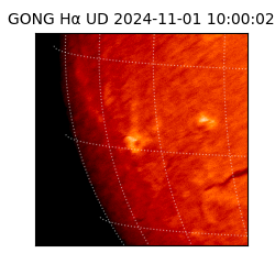 gong - 2024-11-01T10:00:02