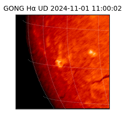 gong - 2024-11-01T11:00:02