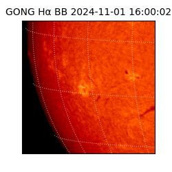 gong - 2024-11-01T16:00:02