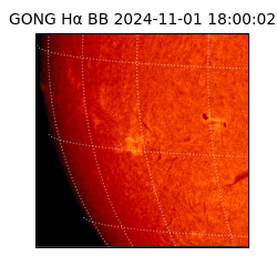 gong - 2024-11-01T18:00:02