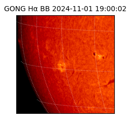 gong - 2024-11-01T19:00:02