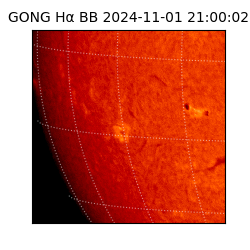 gong - 2024-11-01T21:00:02