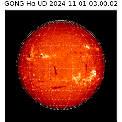 gong - 2024-11-01T03:00:02